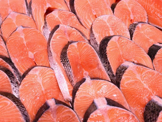 SALMON