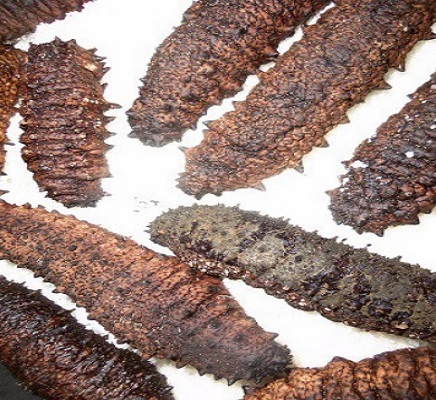 DRIED SEA CUCUMBER