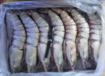 BLACK TIGER SHRIMPS